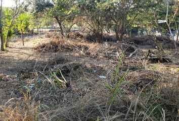 Lote de Terreno en  Mata Redonda, Pueblo Viejo, Veracruz