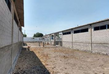 Lote de Terreno en  