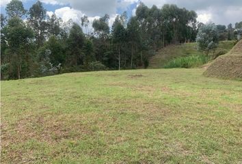 Lote de Terreno en  Guarne, Antioquia