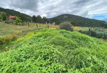 Lote de Terreno en  Calle Ladera, Portal San Antonio, Arteaga, Coahuila De Zaragoza, Mex