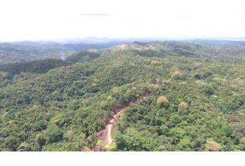 Lotes y Terrenos en  Buena Vista, Colón Distrito