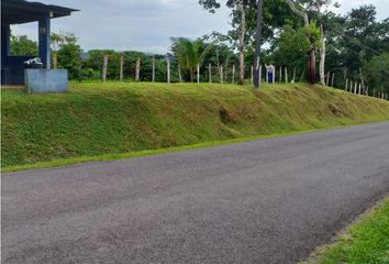 Finca/Hacienda en  La Candelaria, Penonomé