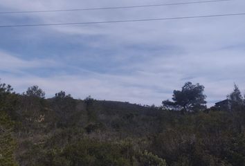 Terreno en  La Bisbal Del Penedes, Tarragona Provincia