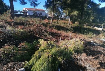 Terreno en  Castellet I La Gornal, Barcelona Provincia