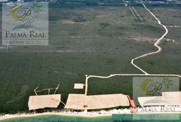 Lote de Terreno en  Puerto Morelos, Quintana Roo