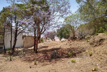 Lote de Terreno en  San Gaspar, Ixtapan De La Sal