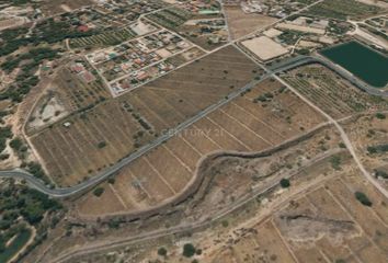 Terreno en  Fuente Alamo, Murcia Provincia