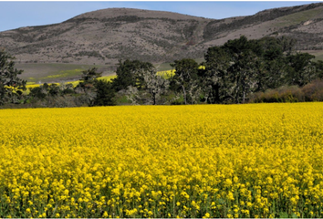 Lote de Terreno en  Valle De Chapultepec, Ensenada