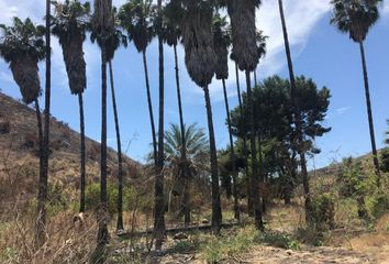 Lote de Terreno en  Zona Centro, Tijuana