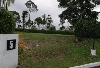 Lote de Terreno en  Quimbaya, Quindío