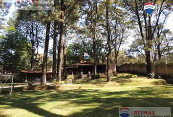 Lote de Terreno en  Pueblo Santa María Ahuacatitlán, Cuernavaca, Morelos