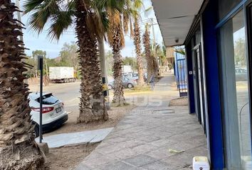 Local en  Copiapó, Copiapó