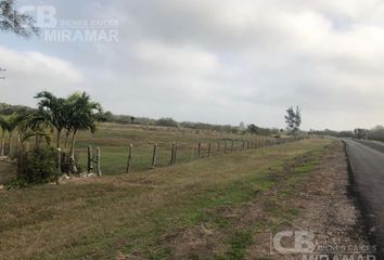 Lote de Terreno en  Aldama, Tamaulipas