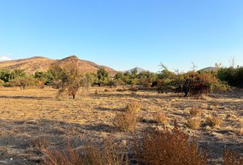 Parcela en  Colina, Chacabuco