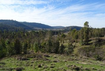 Parcela en  Litueche, Cardenal Caro