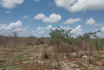 Lote de Terreno en  San Crisanto, Sinanché