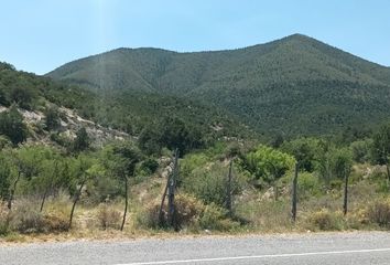 Lote de Terreno en  Carretera El Chorro - Nuncio, Arteaga, Coahuila De Zaragoza, 25366, Mex