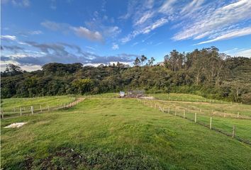 Casa en  Santuario, Antioquia