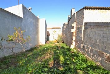 Terreno en  Muro, Balears (illes)