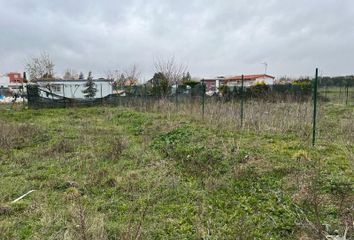 Terreno en  Grijota, Palencia Provincia