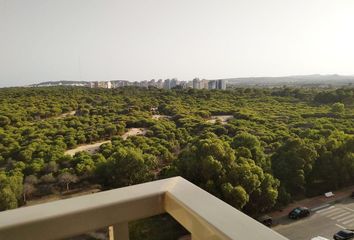 Apartamento en  Guardamar Del Segura, Alicante Provincia