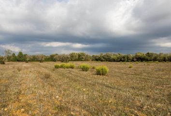 Terreno en  Campos, Balears (illes)