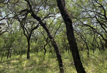 Lote de Terreno en  Calle Caja De Agua, Santiago, Nuevo León, 67308, Mex