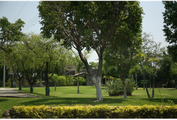 Lote de Terreno en  Tezoyuca, Emiliano Zapata, Morelos