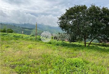 Lote de Terreno en  La Trinidad, Manizales