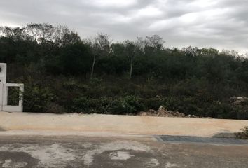 Lote de Terreno en  San Pedro Cholul, Mérida, Yucatán
