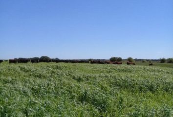 Terrenos en  General Juan Madariaga, Provincia De Buenos Aires, Arg