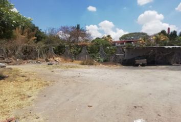 Lote de Terreno en  Miguel Hidalgo, Cuautla, Morelos