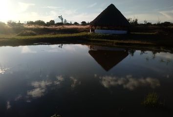 Casa en  Campestre 2a. Sección, Ciudad De Aguascalientes