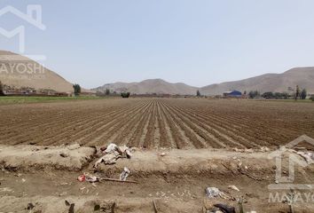 Terreno en  San Martin De Porres, Lima