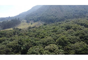 Lote de Terreno en  Villa De Leyva, Boyacá