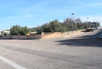 Terreno en  Muro, Balears (illes)