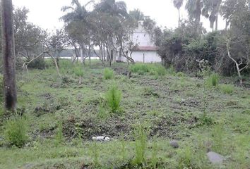 Lote de Terreno en  Tecolutla, Veracruz