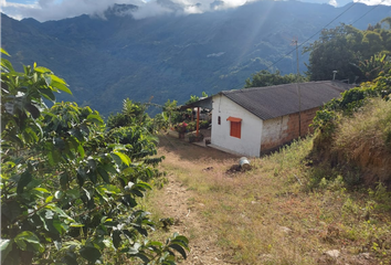 Villa-Quinta en  La Ceja, Antioquia