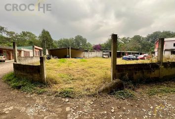 Lote de Terreno en  Plan De La Cruz, Coatepec, Veracruz