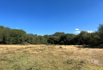 Lote de Terreno en  Caracol, San Miguel De Allende, San Miguel De Allende