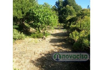 Terreno en  San Martin De Valdeiglesias, Madrid Provincia