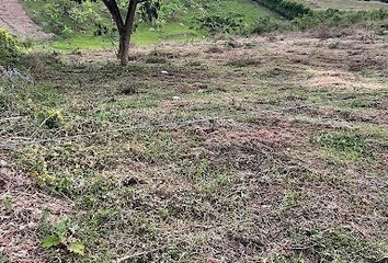 Lote de Terreno en  Cerritos, Pereira