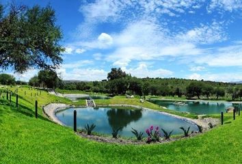 Lote de Terreno en  Rancho O Rancheria Los Charcos, Ocampo, Guanajuato