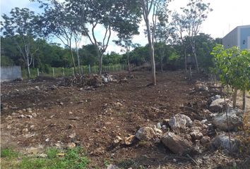 Lote de Terreno en  Sitpach, Mérida, Yucatán