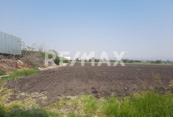 Lote de Terreno en  Rancho O Rancheria Caleras De Obrajuelo, Apaseo El Grande