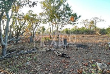 Lote de Terreno en  Santa María Tonameca, Oaxaca