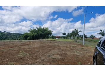 Lote de Terreno en  La Palmilla, Pereira