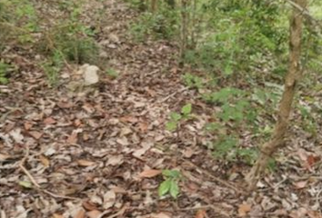 Rancho en  Avenida Licenciado Benito Juarez, Higueral, Tuxpan, Veracruz De Ignacio De La Llave, 92777, Mex