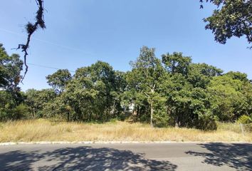 Lote de Terreno en  Lomas Flor Del Bosque, Municipio De Puebla