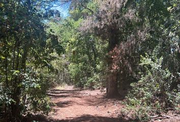 Parcela en  Los Ángeles, Bío-bío